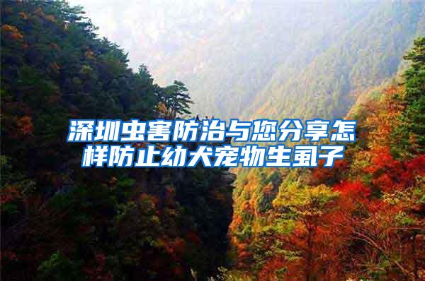 深圳蟲害防治與您分享怎樣防止幼犬寵物生虱子