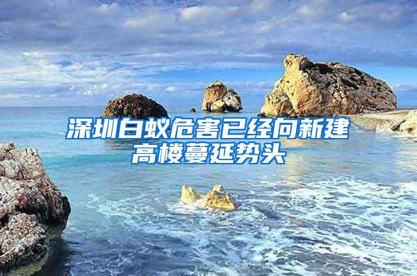 深圳白蟻危害已經(jīng)向新建高樓蔓延勢(shì)頭
