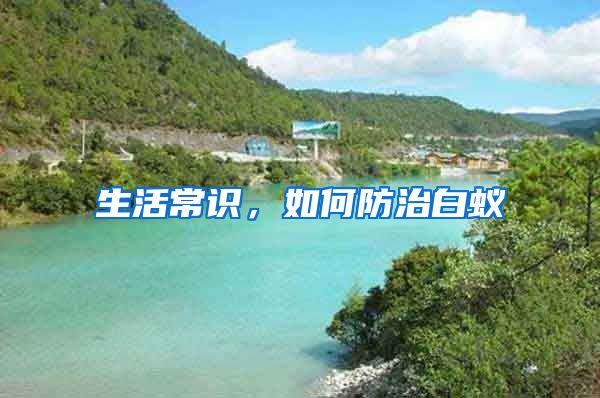生活常識，如何防治白蟻